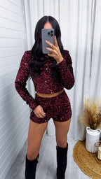 Sequin Velvet Long Sleeve Crop Top - WINE