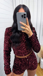 Sequin Velvet Long Sleeve Crop Top - WINE