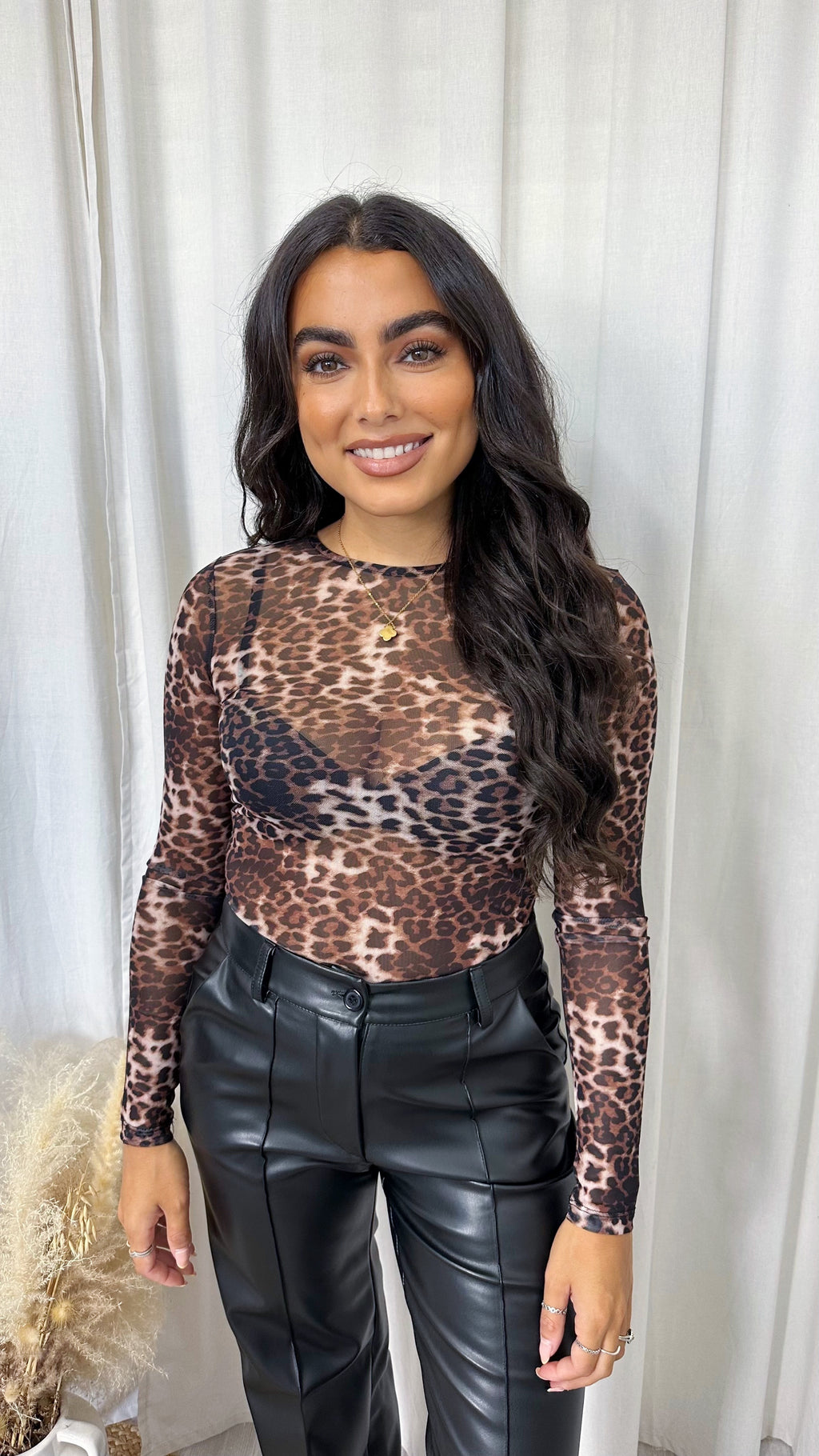 Leopard Print Mesh Long Sleeve Top - BROWN