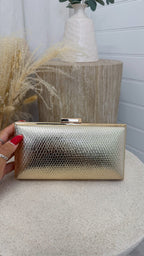 Snake Print Clutch Bag- GOLD