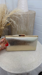 Snake Print Clutch Bag- GOLD